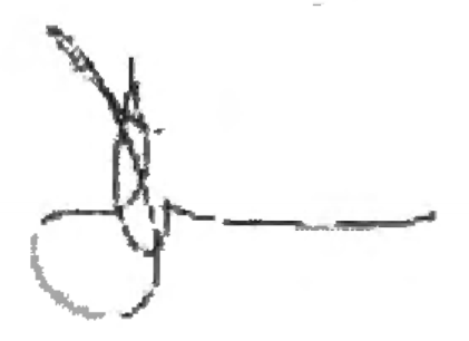 Siobhan Neilson signature